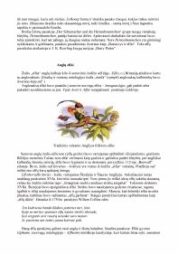 www.speros.lt